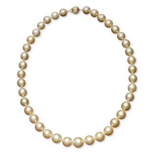 14k Gold Cultured Golden South Sea Pearl Graduated Strand (10-12-1/2mm) 18